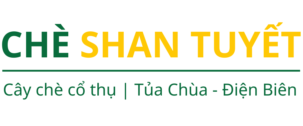 Chè Shan Tuyết Tủa Chùa